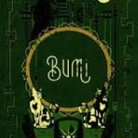 Image of Bumi
