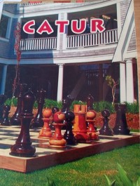 Image of Catur